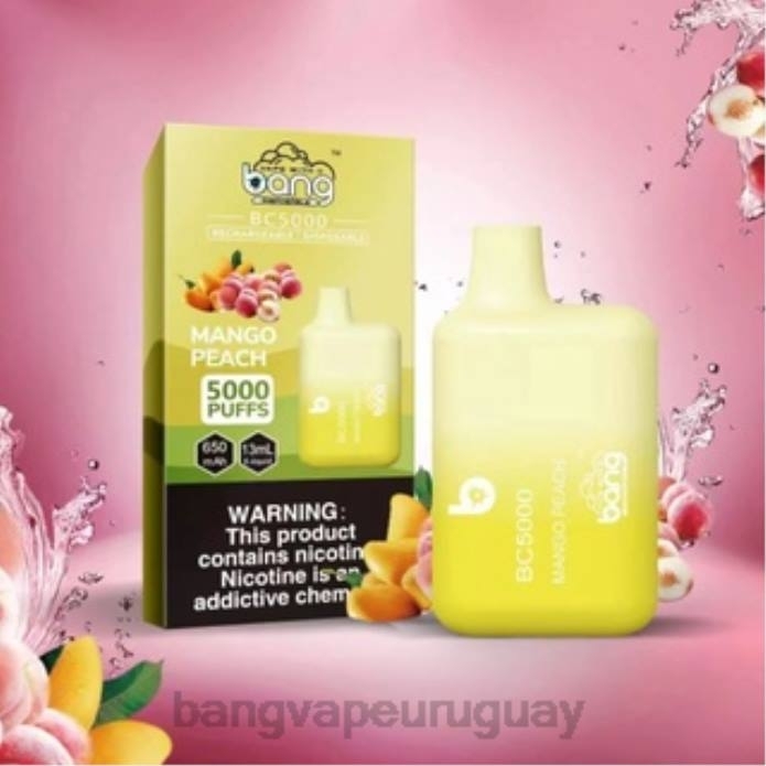 Vape Gang Uruguay - Bang Vape Box BC5000 Bolígrafo tipo c recargable con 5% nic 5000 inhalaciones desechable ZTVF9