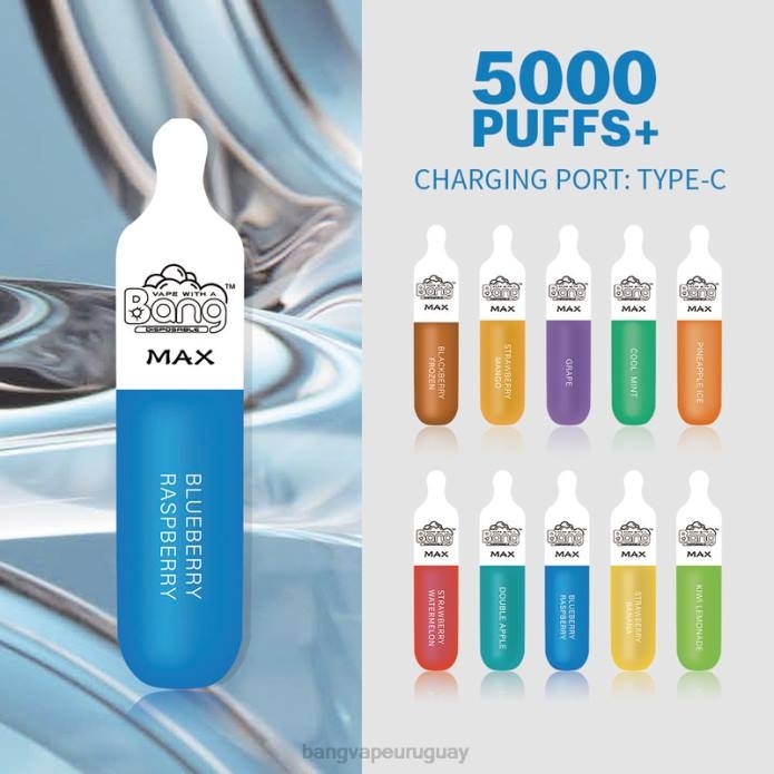 Bang Vape Montevideo - Bang Vape Max barra de 5000 bocanadas desechable ZTVF10