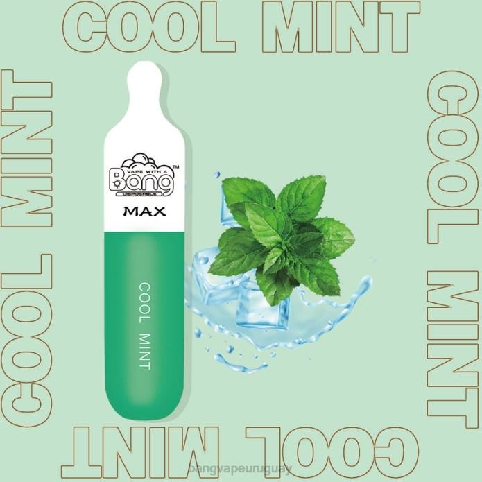 Bang Vape Montevideo - Bang Vape Max barra de 5000 bocanadas desechable ZTVF10