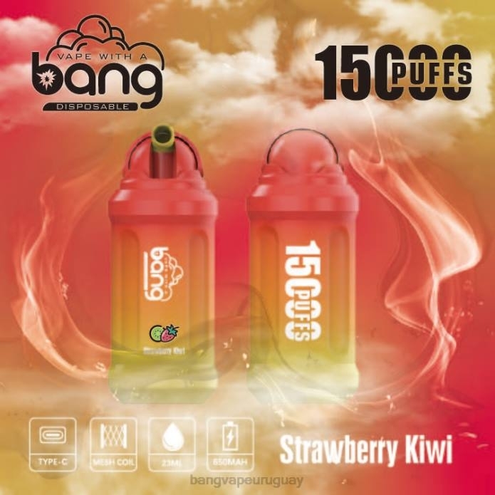Bang Vape Uruguay - Bang Vape 15000 bocanadas desechable ZTVF1