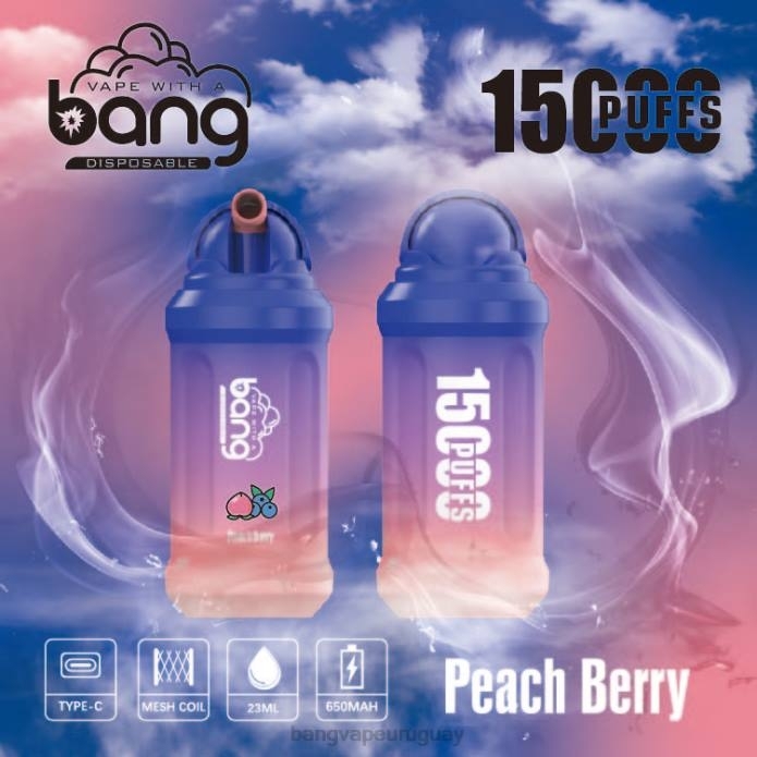 Bang Vape Uruguay - Bang Vape 15000 bocanadas desechable ZTVF1