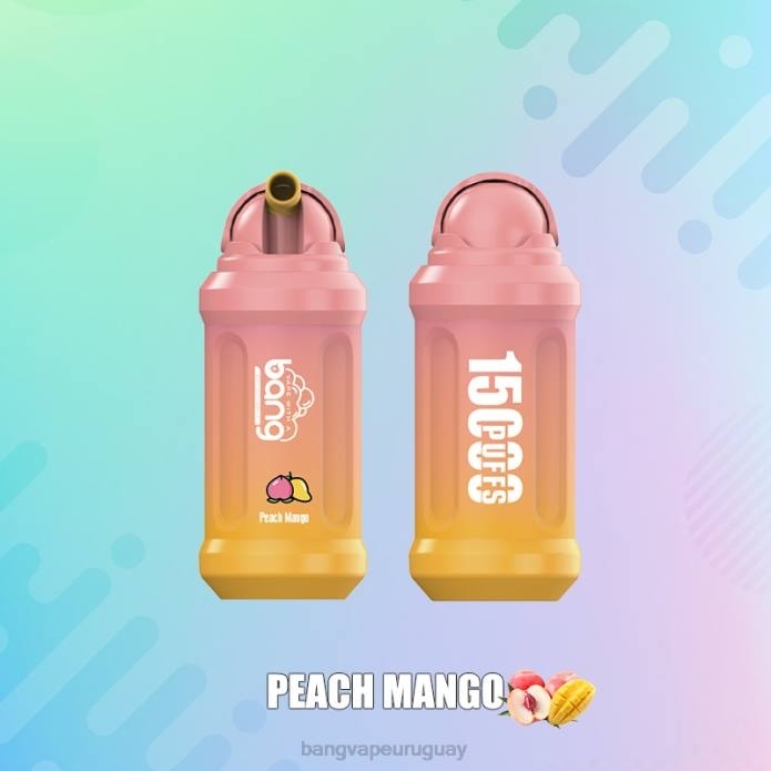 Bang Vape Uruguay - Bang Vape 15000 bocanadas desechable ZTVF1