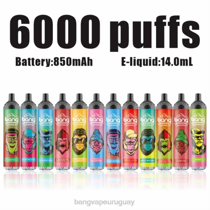 Bang Vape Uruguay - Bang Vape King 6000 inhalaciones 5% nic recargable tipo c desechable ZTVF8