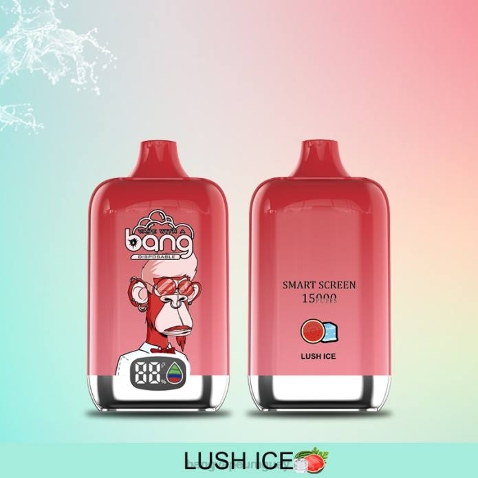Vape Bang Precio - Bang Vape Digital Smart Screen 15000 inhalaciones 25ml desechable ZTVF11