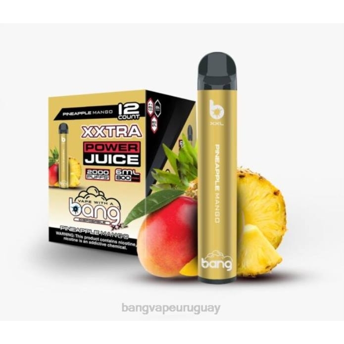 mango de piña