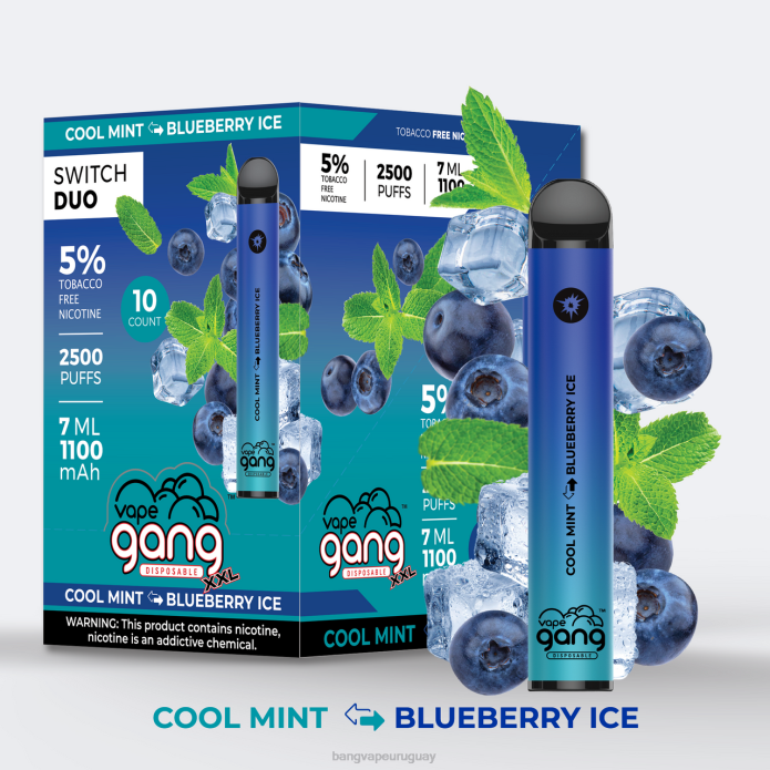 Bang Vape Uruguay - Vape Gang Switch Duo 2 sabores (caja de 10) menta fresca - hielo de arándanos ZTVF43