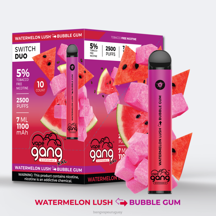 Vape Gang Shop - Vape Gang Switch Duo 2 sabores (caja de 10) sandía exuberante - chicle ZTVF49