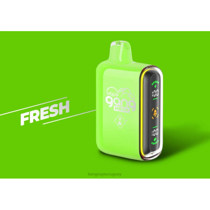 Bang Vape Montevideo - Vape Gang MEGA Vape desechable de 20.000 inhalaciones (caja de 5) fresco ZTVF53