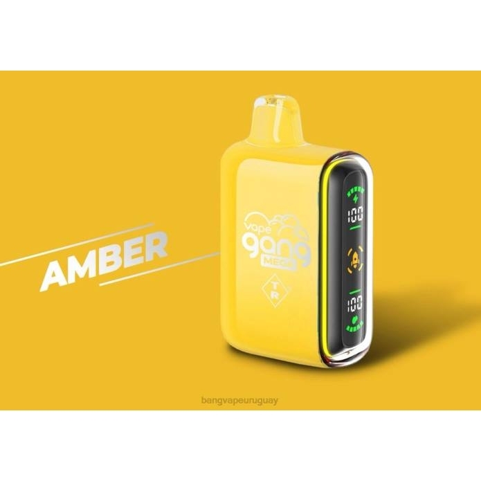 Bang Vape Uruguay - Vape Gang MEGA Vape desechable de 20.000 inhalaciones (caja de 5) ámbar ZTVF50