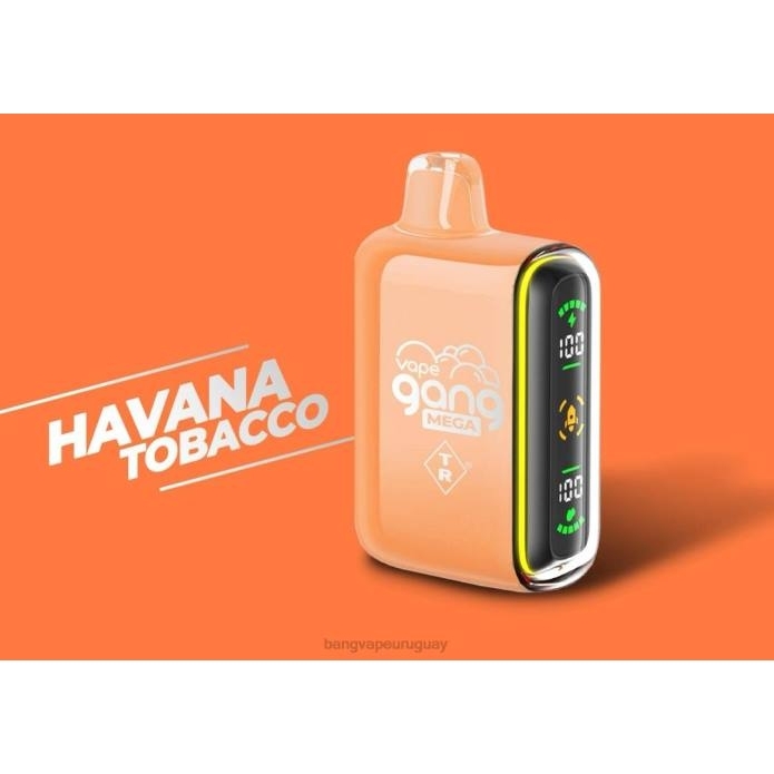 Vape Bang Precio - Vape Gang MEGA Vape desechable de 20.000 inhalaciones (caja de 5) tabaco habano ZTVF55