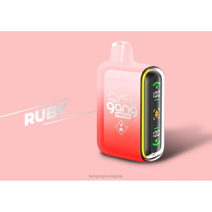 Vape Gang Shop - Vape Gang MEGA Vape desechable de 20.000 inhalaciones (caja de 5) rubí ZTVF58