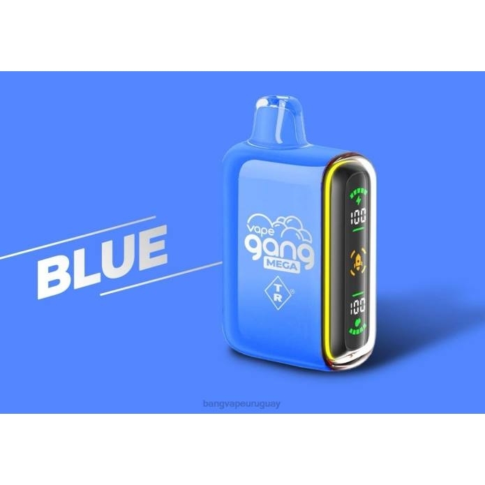 Vape Gang Uruguay - Vape Gang MEGA Vape desechable de 20.000 inhalaciones (caja de 5) azul ZTVF52
