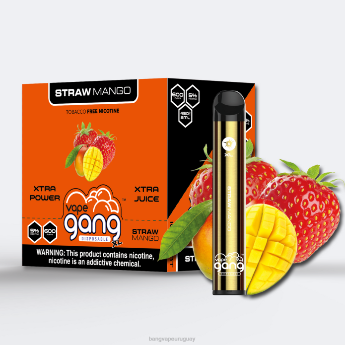 Bang Vape Uruguay - Vape Gang XL vaporizadores desechables 600 inhalaciones (caja de 10) mango de paja ZTVF66
